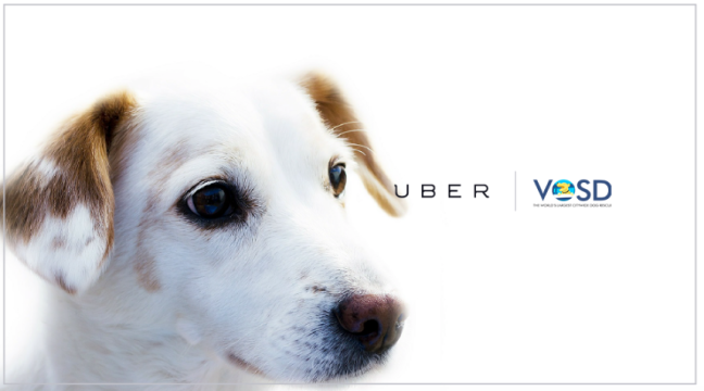 uber-puppies